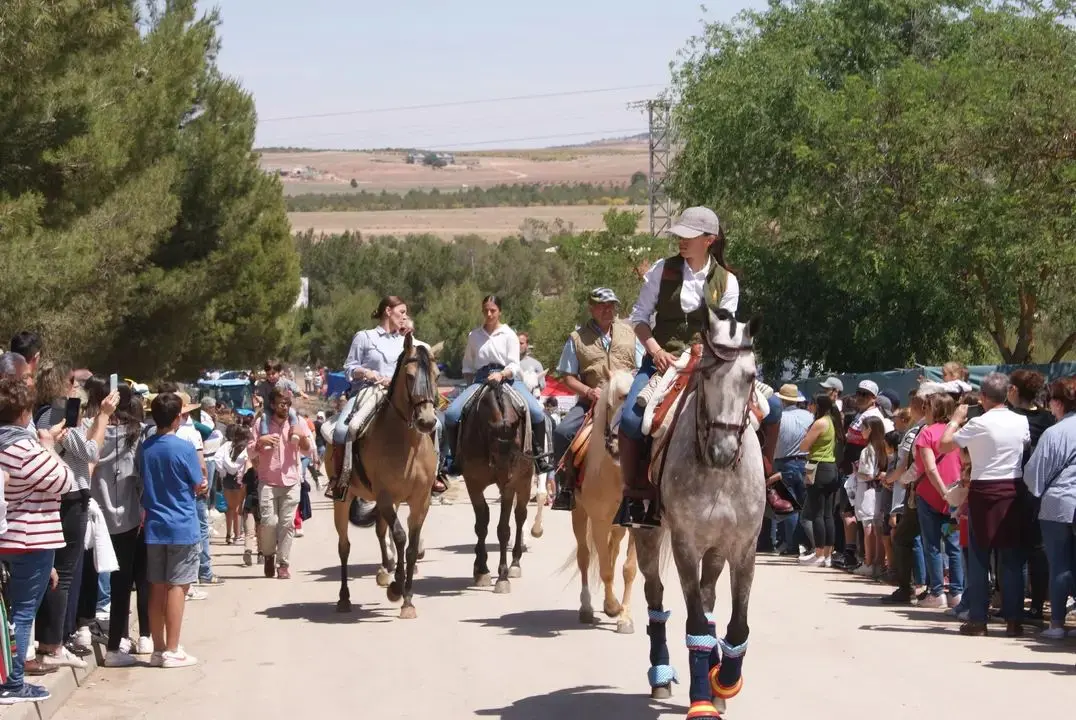 REQUISITOS PARA LOS CABALLISTAS QUE QUIERAN SALIR EN ROMERÍA